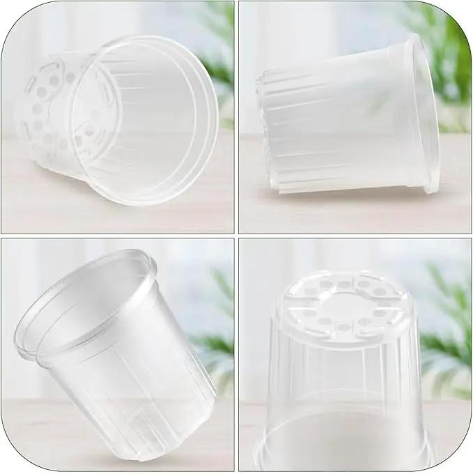 1 Gallon Reinforced Clear Nursery Pots with Drainage Hole, 30 Packs, 6.7 Inch Transparent Pots for Seedlings, Indoor/Outdoor Plants, Veggies, Flowers, and Professional Nursery Use by GreenHaven Gardens
