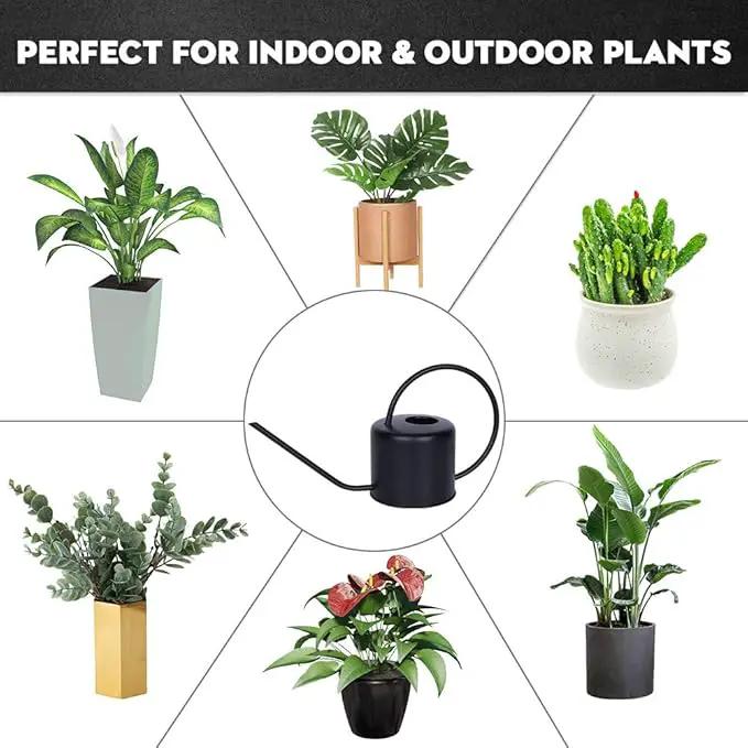 Remiawy Watering Can Indoor Outdoor Stainless Steel Watering Cans for House Plants Long Spout Water Can for Succulent Bonsai Garden Flower(40oz/1300ml) by GreenHaven Gardens