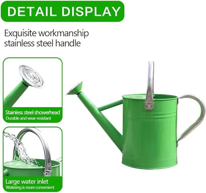 Metal Watering Can, One Gallon Watering Cans Stainless Steel for Outdoor Indoor Garden Plants Watering (Stainless Steel Handle Green) by GreenHaven Gardens