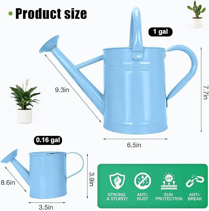 Metal Watering Can (1 Gallon) for Outdoor&Indoor Plants with Free Small Watering can for Kids, Plant Watering Can with Removable spout, Perfect for Garden Flower, Houseplants, (Light Blue) by GreenHaven Gardens