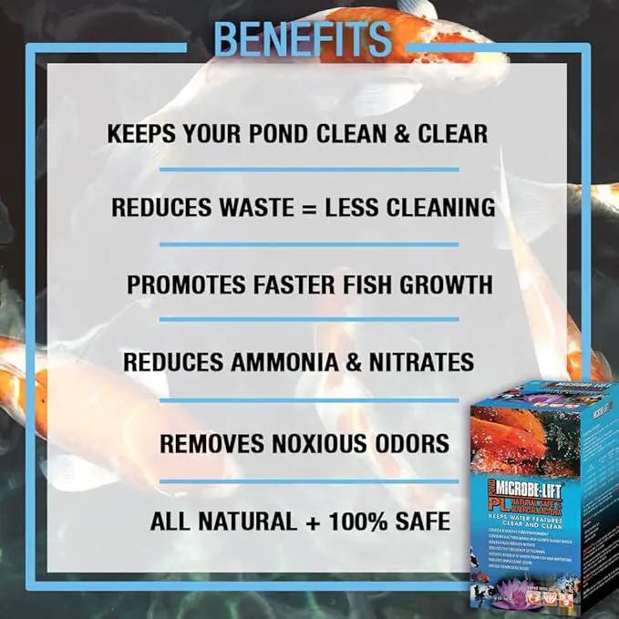 MICROBE-LIFT Algae Control Bundle for Ponds and Water Gardens, Includes ALGA32 Algaway 5.4 (32 oz) + PL Pond Bacteria and Outdoor Water Garden Cleaner (32 oz) by GreenHaven Gardens