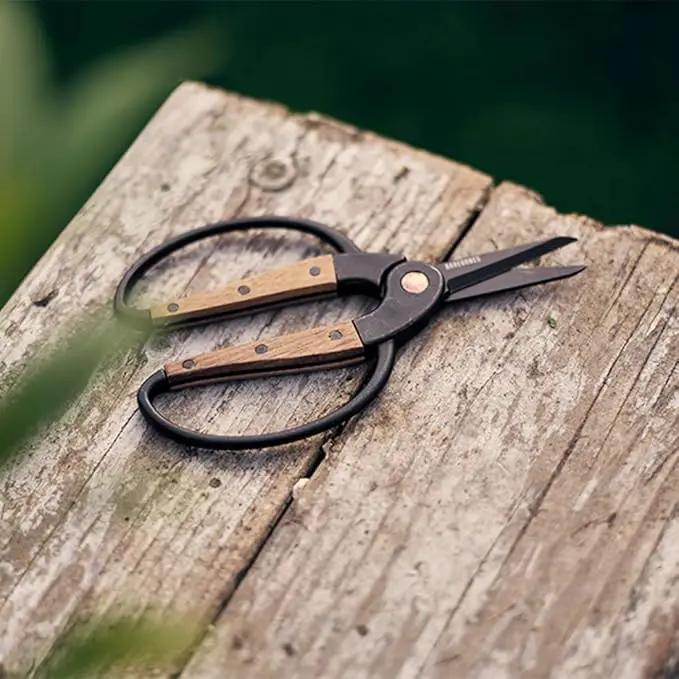 Barebones Garden Scissors - Walnut Scissors - Garden Supplies and Indoor Plant Accessories - Plant Shears with Wide Handles - Comfortable Fit Trimming Shears (Small) by GreenHaven Gardens