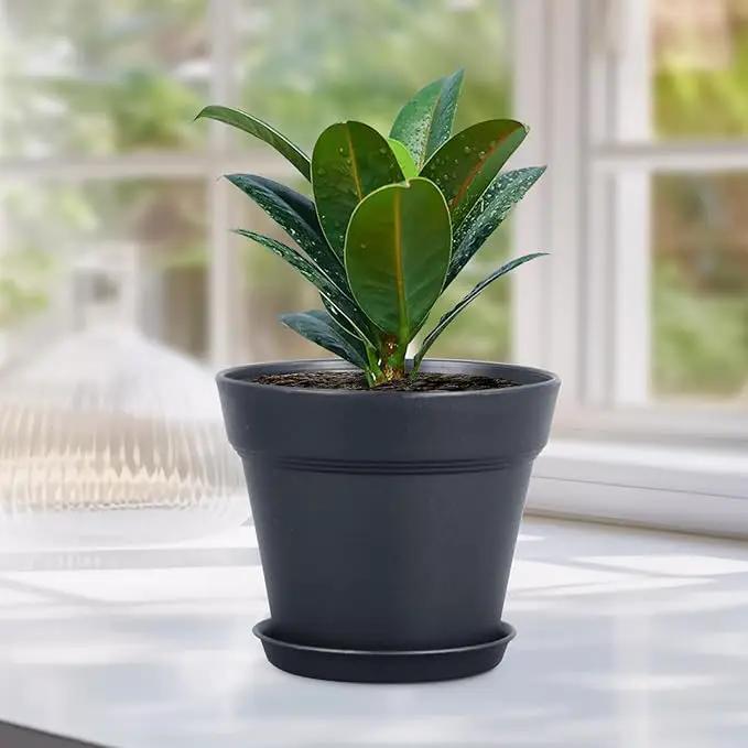 4 inch Small Plastic Nursery Pots, Seedling Pots, 16 Pack Plant Pots for Indoor Outdoor Plants, Flower Pots with Drainage Holes and Saucers, Decorative Planters for House Plants, Black by GreenHaven Gardens