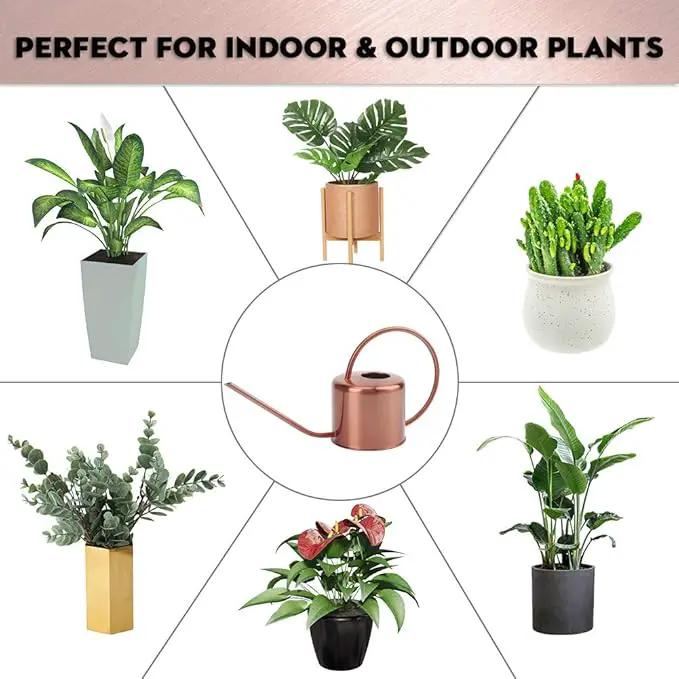 Remiawy Watering Can Indoor Outdoor Stainless Steel Watering Cans for House Plants Long Spout Water Can for Succulent Bonsai Garden Flower(40oz/1300ml) by GreenHaven Gardens