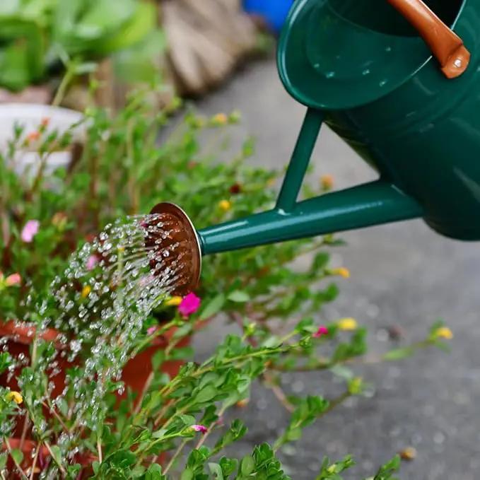 Steel Watering Can Sliver Galvanized Steel Watering Can with Copper Accents,Removable Rosette-Diffuser,One-Gallon Green by GreenHaven Gardens