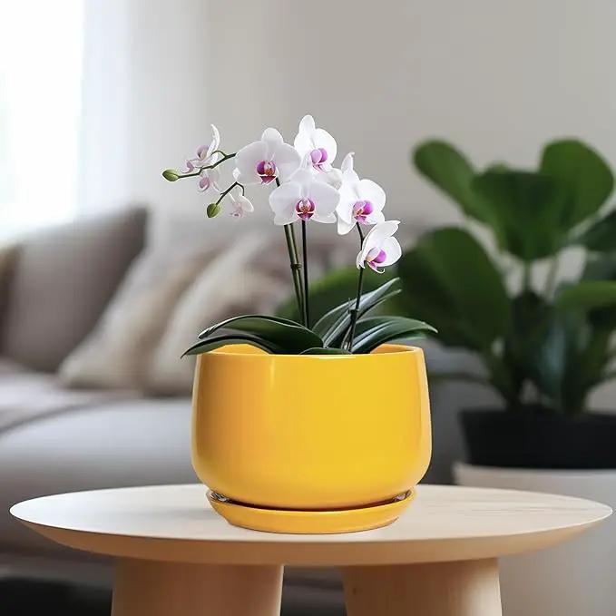 G EPGardening Ceramic Pots for Plants - 7 Inch Plant Pot with Drainage Hole and Saucer, Modern Ceramic Planter for Indoor Outdoor, Round Flower Planter, Gifts for Plants Lovers, Home Decor, Yellow by GreenHaven Gardens