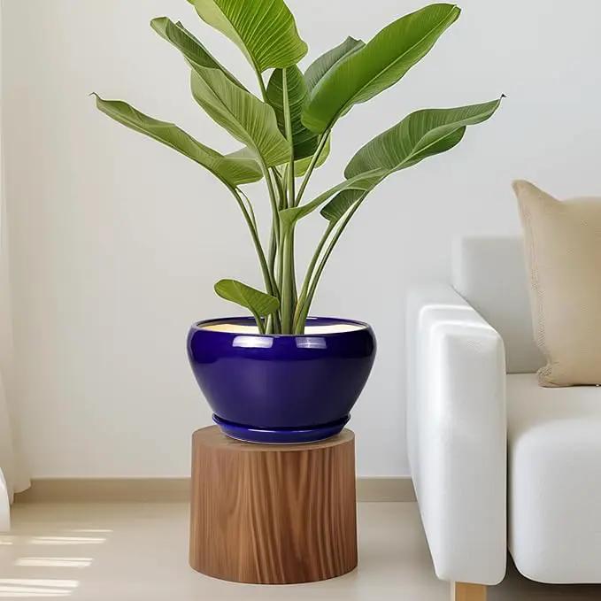 Ceramic Pot for Plants - 11 Inch Modern Round Indoor Planter with Drainage Hole and Planter Saucer for Flowers, Patio Office Home Room Decor, Gardening Gifts for Women & Men, Blue by GreenHaven Gardens