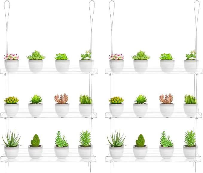 Clear Hanging Window Plant Shelves,2-Pack 3-Tier,Indoor Windows Wall Hanging Plant Stand Flower Display,Flower Pot Organizer Storage for Window Grow Herbs,Microgreens,Succulents,Flower,16-Inch by GreenHaven Gardens