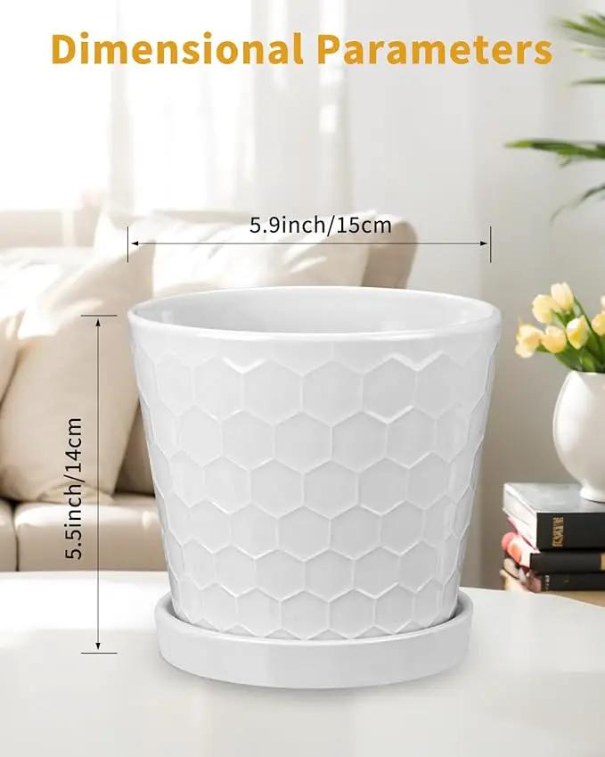 EFISPSS Ceramic Plant Pots, 6 Inch Pots for Indoor Plants, Planters with Drainage Hole and Saucer, Flower Pots Desktop Office Windowsill Decoration Gift Set of 2 - White by GreenHaven Gardens