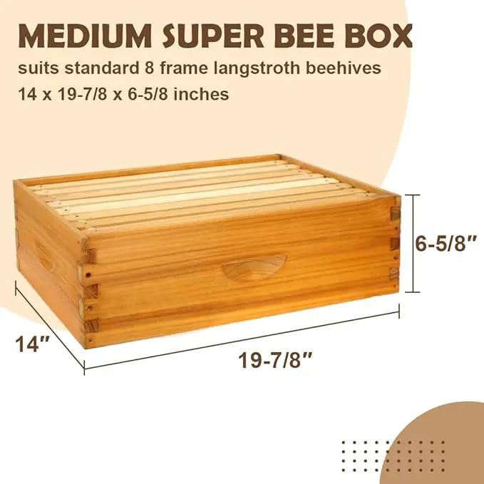8 Frame Bee Hive Box, Langstroth Medium Super Bee Box Dipped in 100% Beeswax Include Beehive Frames and Waxed Foundation Sheets (Unassembled) by GreenHaven Gardens