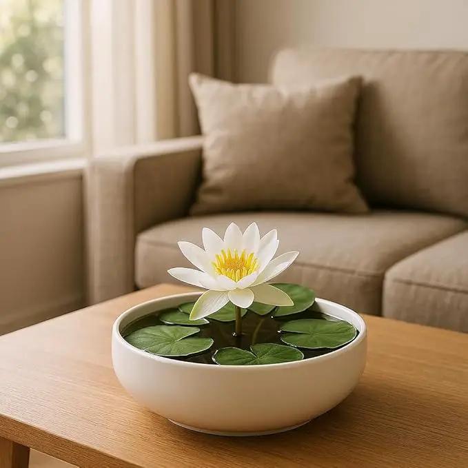 Lotus Bowl Planter, Lotus Bowls for Planting in Water Indoors,6.5-inch Round Succulent Flower Pot with Rotating Bracket, Leak-Proof Design, Suitable for hydroponic Plants, Succulents (White) by GreenHaven Gardens