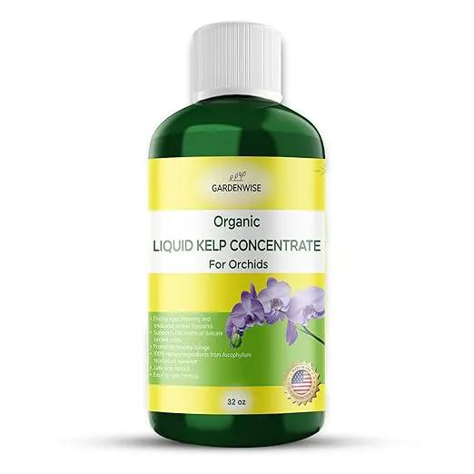 Organic Premium Kelp Seaweed Concentrate: Fertilizer for Orchids - Orchid Food (16 OZ) by GreenHaven Gardens