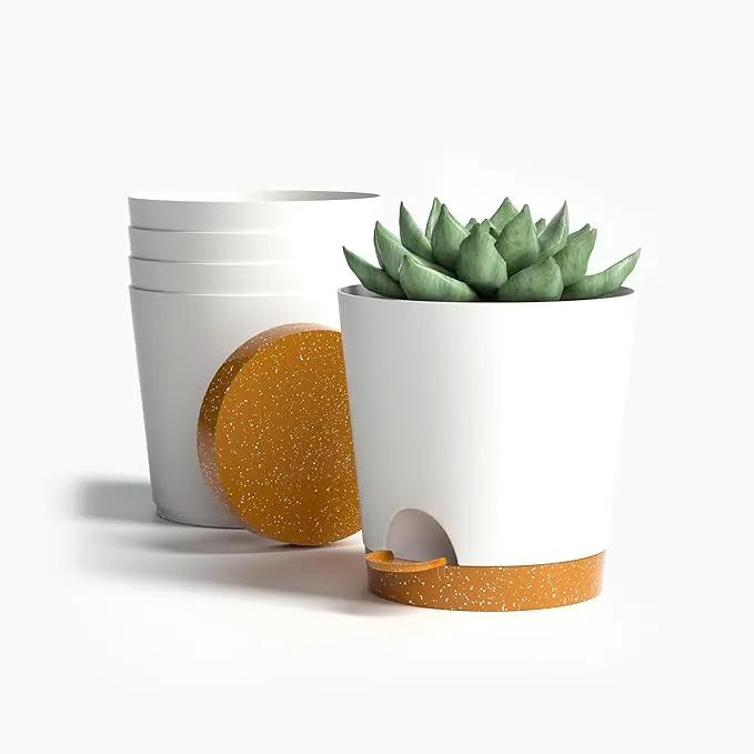 4 inch Small Plant Pots for Outdoor Indoor Plants, 5 Pack Planters with Drainage Holes and Tray, Small Self Watering Pots for Succulent,Cactus, Aloe and Other Plants (White) by GreenHaven Gardens