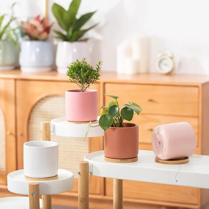 OMAYKEY 4 Inch Ceramic Plant Pot with Saucer, Multicolor Planters Pots with Drainage Hole and Mesh Pads for Succulent, Indoor Flowers, Snake Plants, Cactus, Herbs, Set of 4 (Plant Not Included) by GreenHaven Gardens