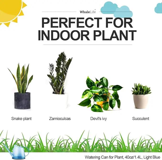 WhaleLife Indoor Watering Can for House Bonsai Plants (1.4L, Light Blue) by GreenHaven Gardens