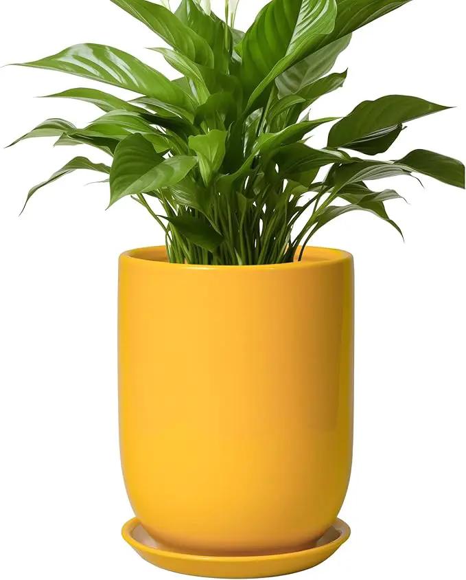Plant Pot 8 Inch - Ceramic Plant Pot with Drainage Hole and Saucer Large Planter for Indoor Plants Outdoor Modern Flower Pot for Home Garden Decor Yellow by GreenHaven Gardens