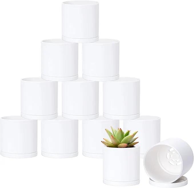 D'vine Dev 12 Pack 3.5 Inch Mini Plastic Plant Pots, Small Garden Planters for Plant with Drainage Holes and Saucers, White Color, 74-Z-D-4 by GreenHaven Gardens
