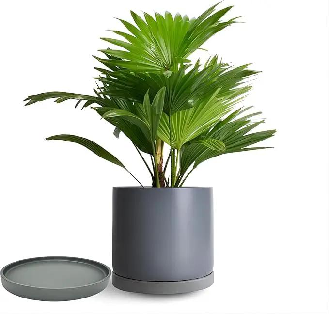 Ceramic Plant Saucer Pot Tray 12 Inch, Planter Saucers 4 5 6 7 8 9 10 11 12 13 Inch for Indoors Outdoor, Durable Sturdy Flower Drainage drip Water Tray for Glazed Pots Base (12.7 Inch-Grey) by GreenHaven Gardens