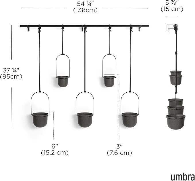 Umbra Triflora Hanging Planter for Window, Indoor Herb Garden, Set of 5, Black by GreenHaven Gardens