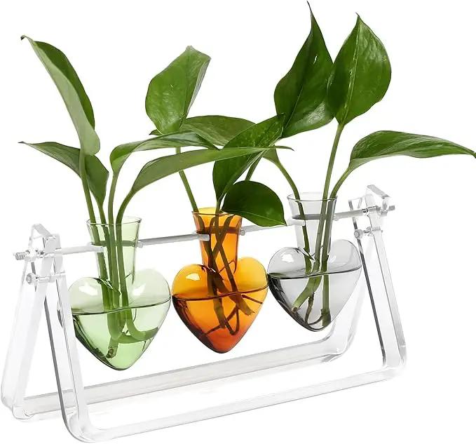 Plant Terrarium Propagation Stations with Acrylic Stand Birthday Gifts for Women Plant Stand Indoor Office Home Decor by GreenHaven Gardens