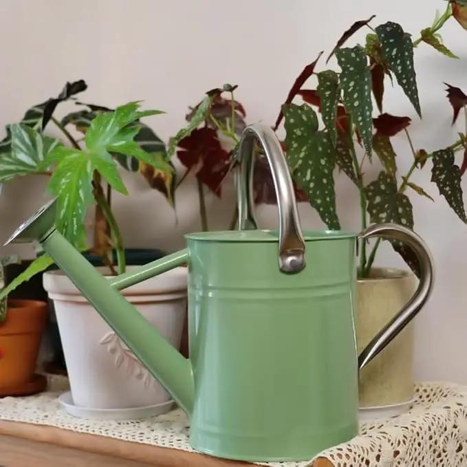 Metal Watering Can, One Gallon Watering Cans Stainless Steel for Outdoor Indoor Garden Plants Watering (Cream Green) by GreenHaven Gardens