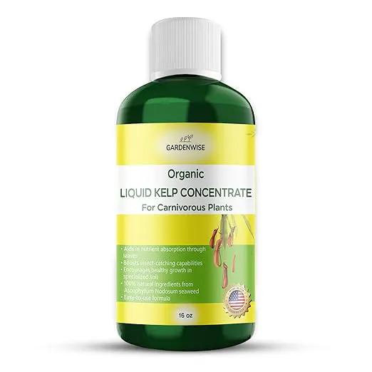 Organic Premium Kelp Seaweed Fertilizer: Indoor Plant Fertilizer & Carnivorous Plant Food for Venus Flytraps, Sundews, Drosera Capensis,Pitcher Plants,Butterworts & Other (16 OZ) by GreenHaven Gardens