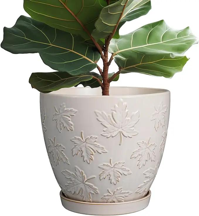 Pots for Plants 10 Inch - Ceramic Planter Large Plant Pot for Indoor Plants Outdoor Round Flower Pot with Drainage Hole and Saucer Home Garden Decor White by GreenHaven Gardens