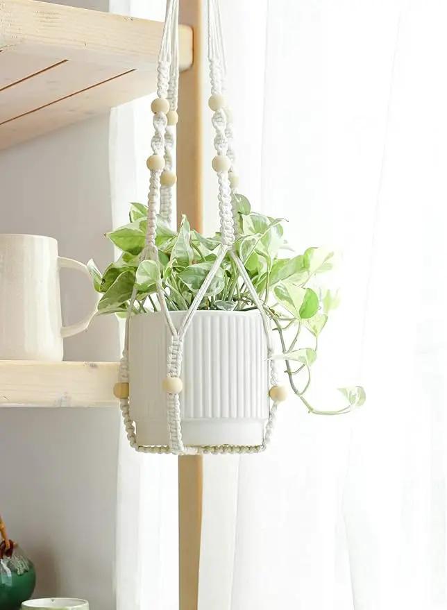LE TAUCI Ceramic Pots for Plants, 8+6.7+5.5 Inch Plant Pots Indoor, Flower Pot with Drainage Holes, Medium Cylinder Planters for Indoor House Plants, Set of 3, White by GreenHaven Gardens