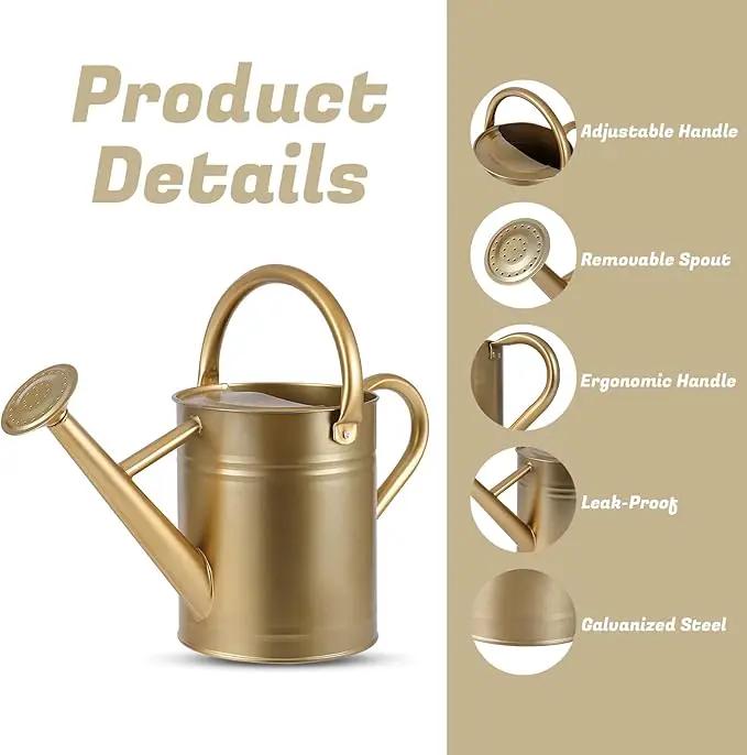 1 Gallon Watering Can for Plants, Watering Cans for Indoor&Outdoor Gardening, Galvanized Steel Watering Pot with Removable Spout, Metal Water Can with Ergonomic Movable Handle(Gold) by GreenHaven Gardens