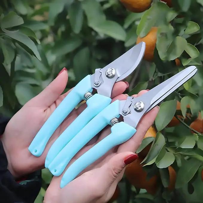 Premium Garden Shears, Pruning Scissors Gardening Tools, Pruners For Flower, Bushes, Rose And Fruit Tree, Use For Florist, Yard And Orchard the Plant Clippers, Sharp White Steel Anvil Snips by GreenHaven Gardens