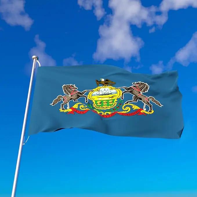 TOPFLAGS Pennsylvania Flag 3x5 Outdoor PA State Flags Double Sided Embroidered Longest Lasting Heavy Duty Polyester Stronger Brass Grommets 4 Stitched Hemming Perfect for Outside by GreenHaven Gardens