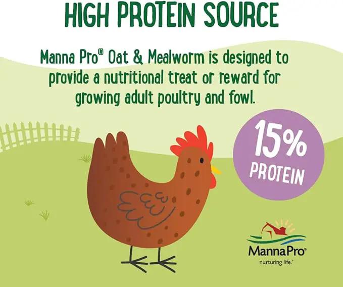 Manna Pro Farmhouse Favorites Oat & Mealworm Mix Poultry Treat – Natural Protein Source – Encouraging Poultry Treat – Mix of Oats, Peanuts, Raisins, Mealworms, Sunflower Kernels – 2lbs by GreenHaven Gardens