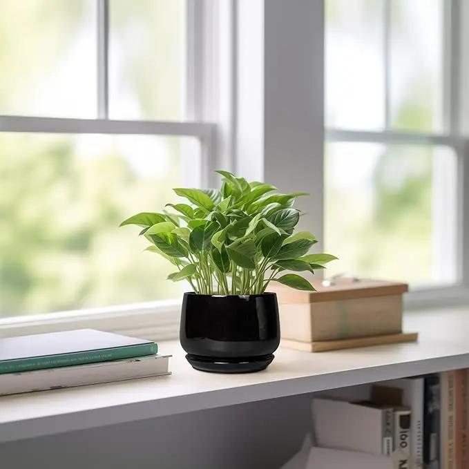 G EPGardening Small Ceramic Planter - 4 Inch Succulent Pots with Drainage Hole & Sacuer, Flower Pots for Indoor Outdoor Plants, Modern Decorative Round Planter, Room Decor, House Warming Gifts, Black by GreenHaven Gardens
