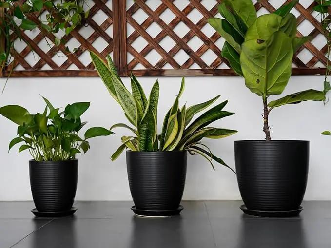 Ceramic Plant Pot - 8 Inch Ceramic Planter for Indoor Plants Glazed Round Flower Pot with Drainage Hole and Saucer Black by GreenHaven Gardens