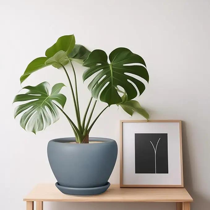 Ceramic Pot for Plants - 6 Inch Plant Pot Indoor with Drainage Hole and Saucer Decorative Planter for Outdoor Plants Modern Succulent Pots Round Flower Pots Gray by GreenHaven Gardens