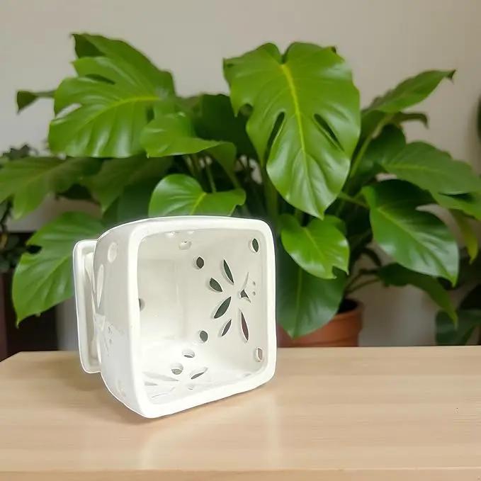 Orchid Pots with Holes Square Ceramic Orchid Planter Pots 5.5 inch (White) by GreenHaven Gardens