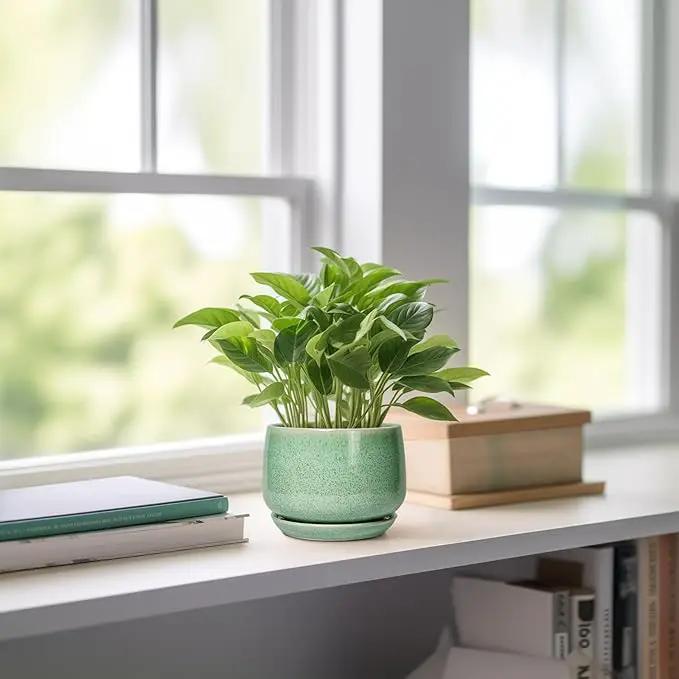 G EPGardening Ceramic Plant Pot - 4 inch Plant Pots with Drainage Hole & Saucer, Small Pots for Plant Indoor Outdoor, Modern Round Planter, Decorative Flower Pot, Room Decor, House Warming Gift, Green by GreenHaven Gardens