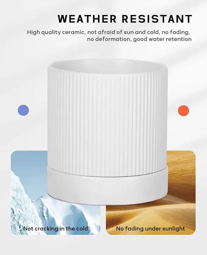 LaDoVita 3 Pack Ceramic Plant Pots 6/5/4 inch, Flowerpot for Indoor Plants with Drainage Holes and Tray, Outdoor Garden Planters, Modern Decorative for Home, White Vertical Stripes by GreenHaven Gardens