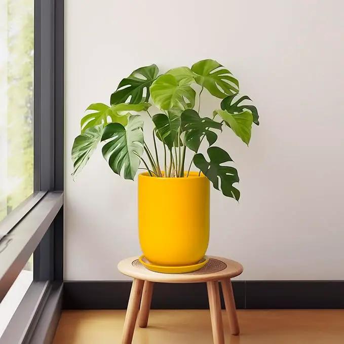 Plant Pot 8 Inch - Ceramic Plant Pot with Drainage Hole and Saucer Large Planter for Indoor Plants Outdoor Modern Flower Pot for Home Garden Decor Yellow by GreenHaven Gardens
