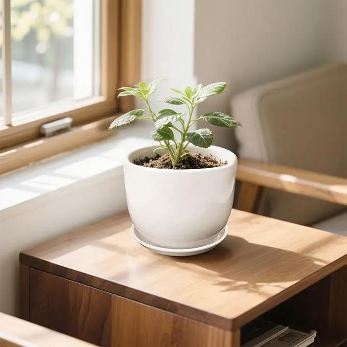 6.7 + 5.5 Inch Plant Pot, Ceramic Planter with Drainage and Saucer, Ceramic Pots for Plants, Indoor Plant pots,Succulent Pot Orchid Pots(Smooth White,Plant Pot Only) by GreenHaven Gardens