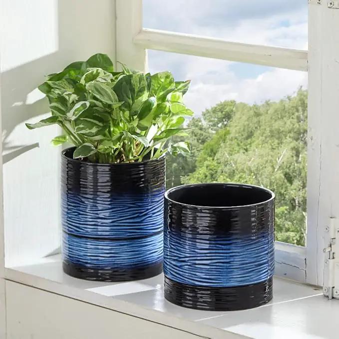 Nihow Self Watering Plant Pot: 6 Inch Ceramic Planter with Drainage Hole & Water Storage Plus for Indoor & Outdoor Plants - Cylinder Round Flower Pot for Succulent/Herbs/Violets - Black & Vivid Blue by GreenHaven Gardens