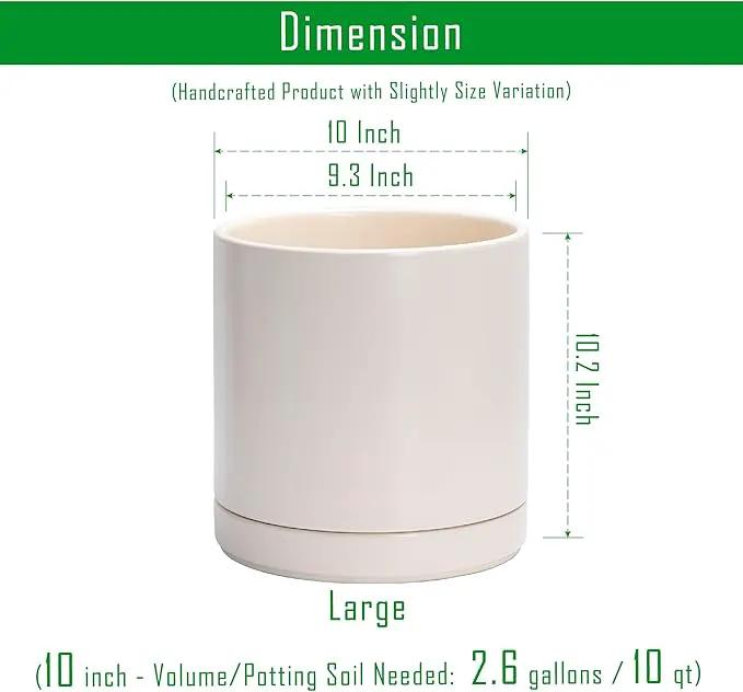 D'vine Dev 10 Inch Ceramic Planter Pot with Drainage Hole and Saucer, Indoor Cylinder Round Planter Pot, Oatmeal, 94-O-E-8 by GreenHaven Gardens