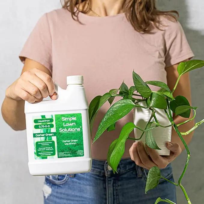 Simple Lawn Solutions - Liquid Iron Fertilizer Darker Green - Chelated Micronutrients - Concentrated Green Booster for Turf Grass, Indoor Plants and Outdoor Garden (32 Ounce) by GreenHaven Gardens