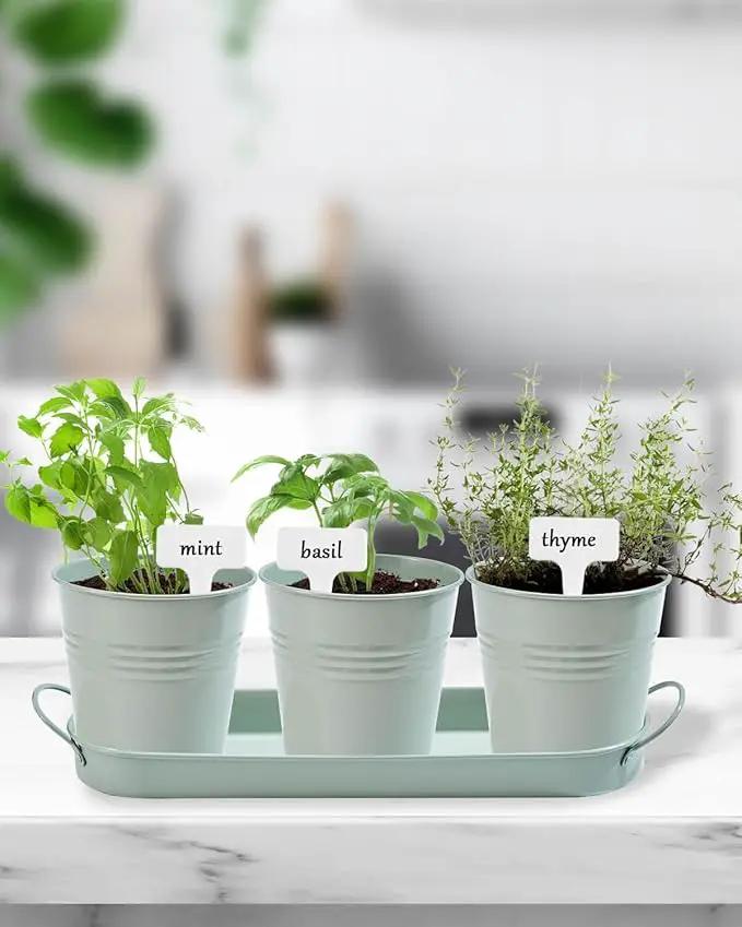 vensovo Indoor Herb Planter Set - Galvanized Windowsill Garden Pots with Tray & Drainage, Set of 3 Metal Window Planters for Kitchen & Outdoor Use, Light Green by GreenHaven Gardens