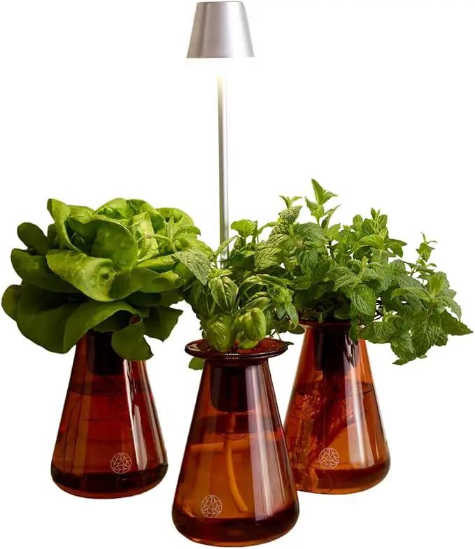 Counterstand Set – Vase Plant for Indoor Edible Garden Kit for Herbs & Lettuce – Small-Space Hydroponic System – Home Decor & Gifting – Without Live Plants by GreenHaven Gardens