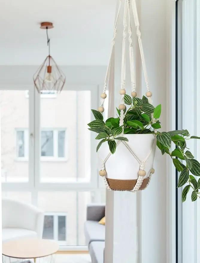 Hanging Planters with Macrame Plant Hangers for Indoor Outdoor Plants 3 Set Self Watering Pots Hanging Baskets Flower Pot Holders 3 Different Size by GreenHaven Gardens