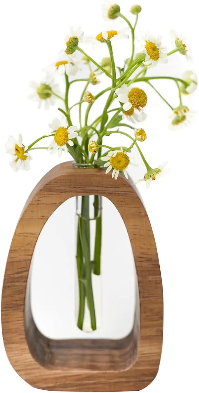 Solid Wood Frame Glass Test Tube Vase Desk Hydroponic Plant, Enhances Home and Office Environment, Small Size (Small) by GreenHaven Gardens