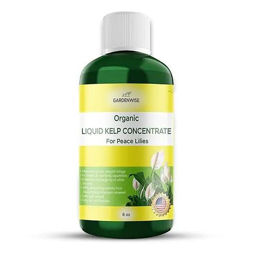 Organic Premium Kelp Seaweed Fertilizer for Peace Llily - Liquid Plant Food - Nutrient-Rich Soil Enhancer - Natural Plant Food for Spathiphyllum (8 OZ) by GreenHaven Gardens