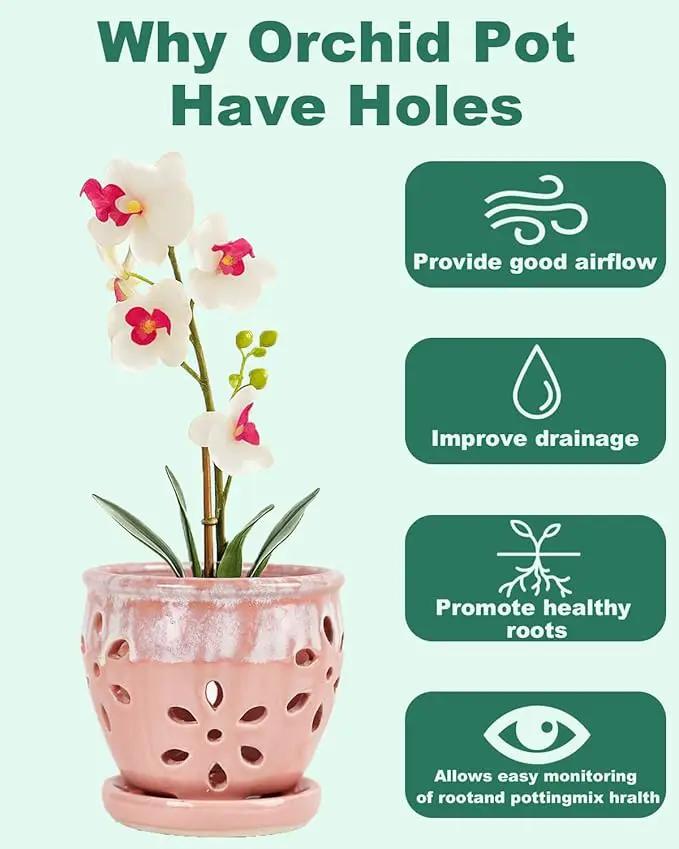 vensovo 5 Inch Ceramic Orchid Pots with Holes and Saucers - 1 Pcs Small Succulent Pot for Repotting, Garden Flowerpots for Plants Indoor and Outdoor Promotes Air Circulation, Pink by GreenHaven Gardens