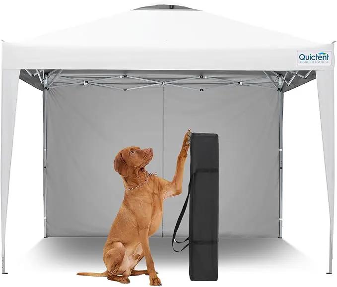 Quictent 10x10 Pop Up Canopy Tent, Instant Setup Gazebo for 1 Person, Portable & Compact, Waterproof & UV Protection, Ideal for Camping, Beach, Parties, and Outdoor Events by GreenHaven Gardens